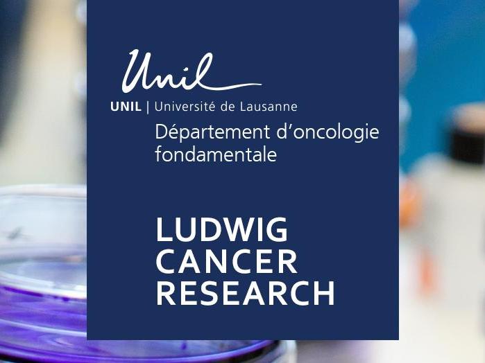 Distinguished Ludwig Lectures 2017