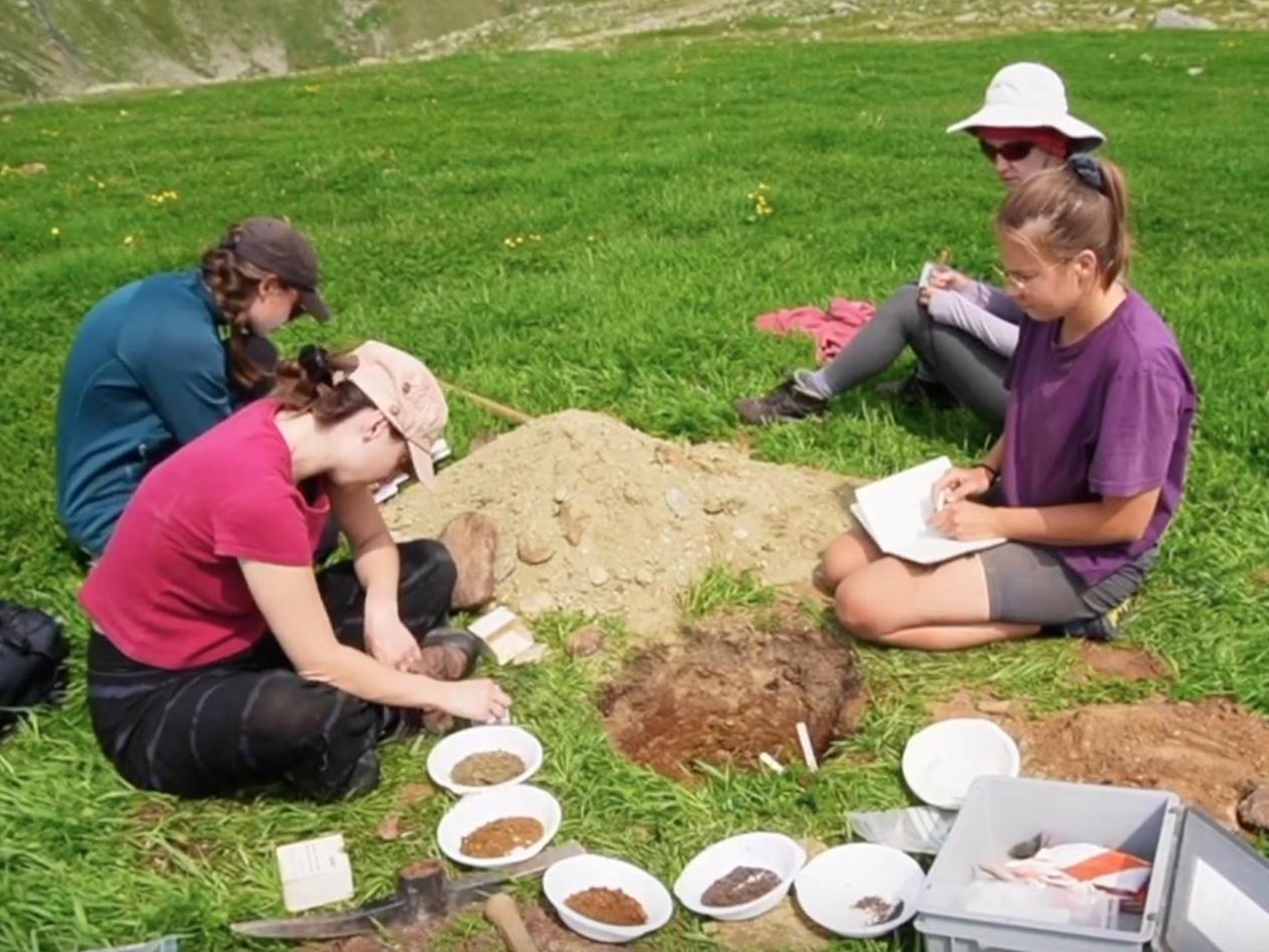 Interactions sol -végétation en milieu alpin : camp de terrain du master en biogéosciences