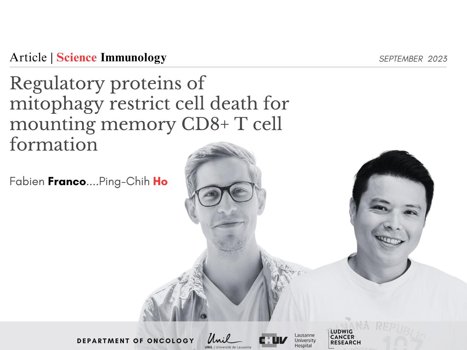 Mitophagy Dysfunction in Parkinson's Patients: Implications for CD8 Memory T Cell Responses and Vaccine Efficacy

