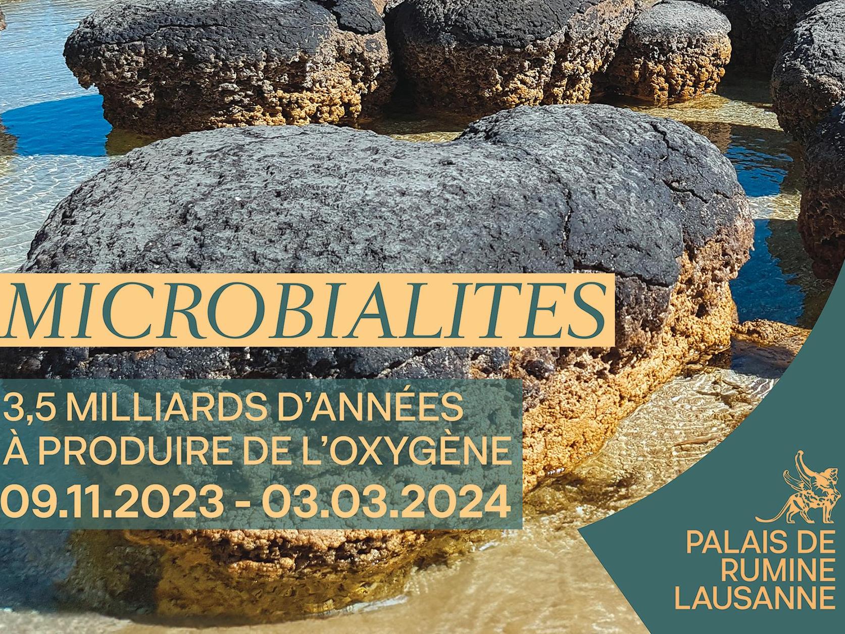 MICROBIALITES, l'exposition