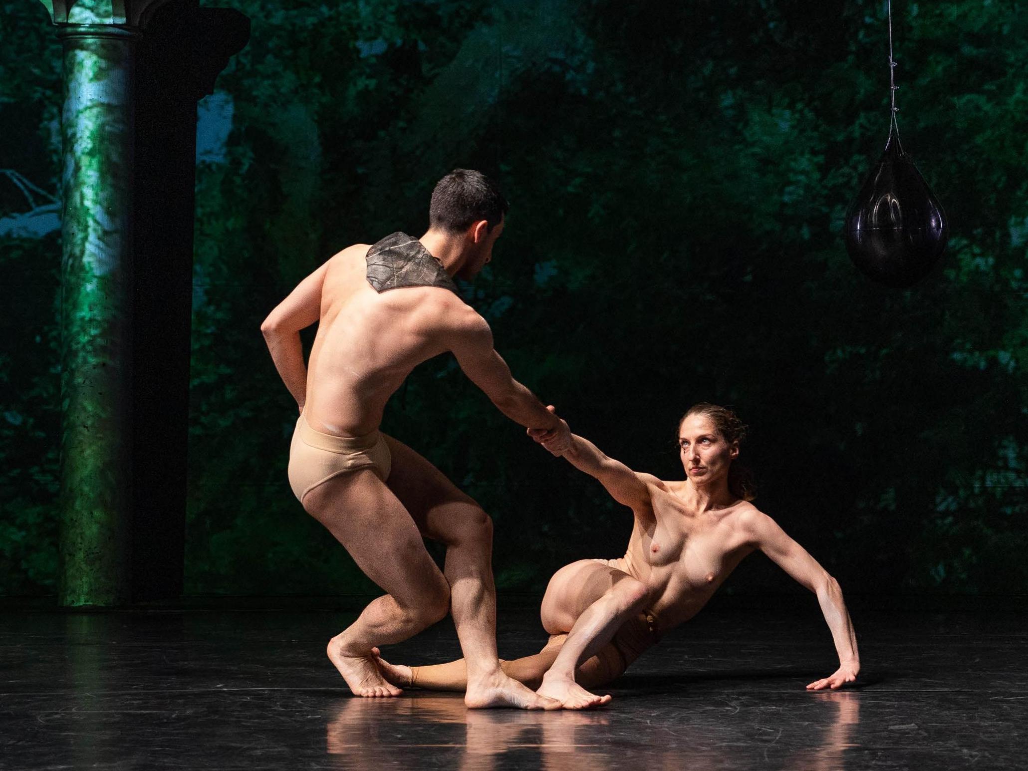 Plongez au c&oelig;ur de la for&ecirc;t avec &laquo; Fauve &raquo; !