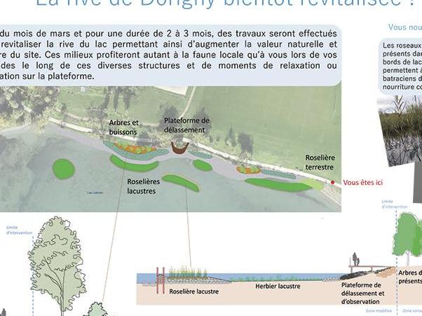 Un projet pilote pour renaturer les rives du Léman va démarrer sur le site de Dorigny à Saint-Sulpice.