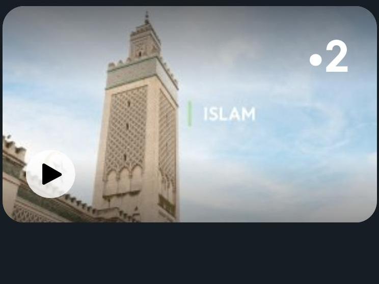 Emissions sur l'islam, France TV