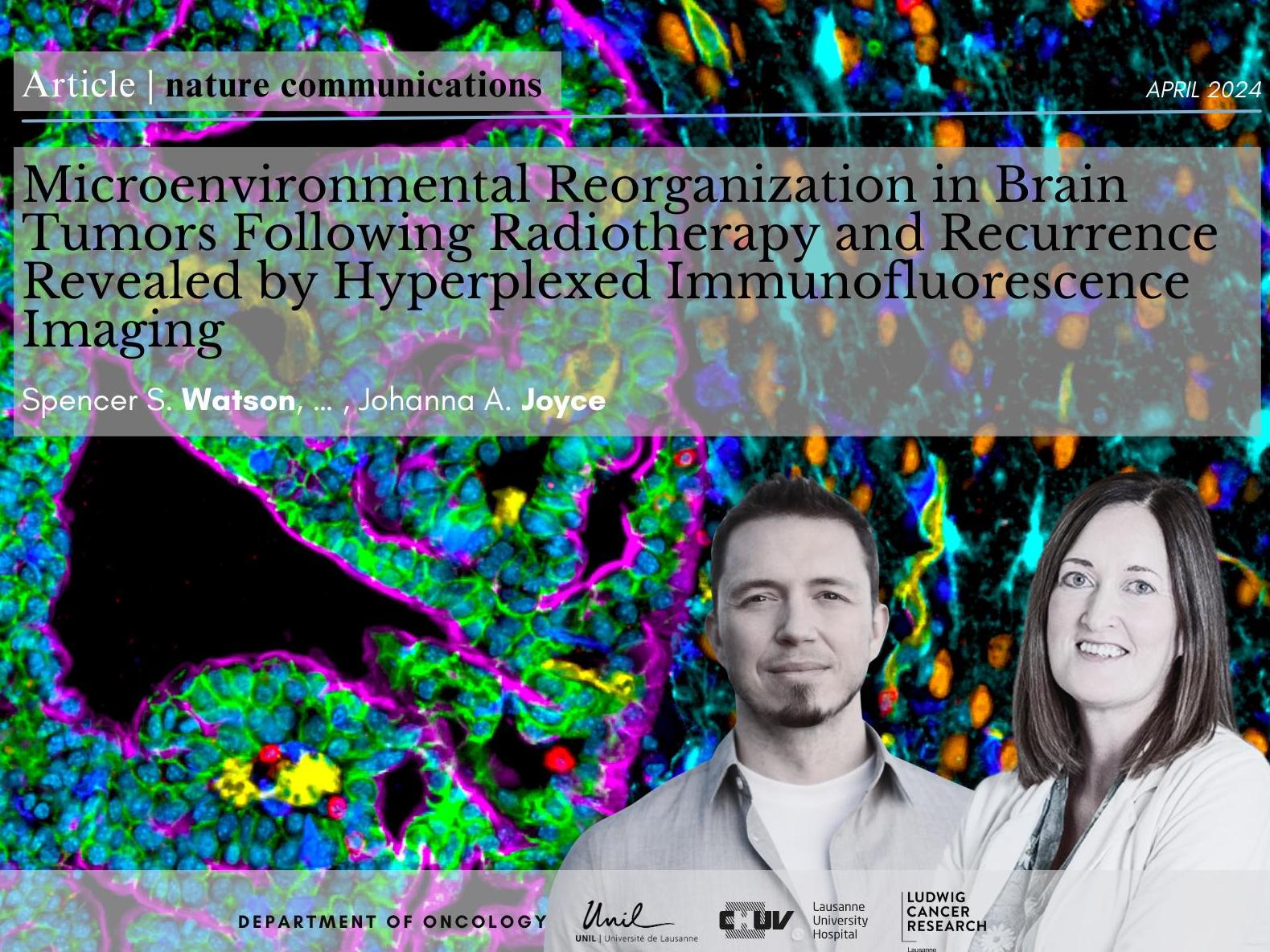 Microenvironmental Reorganization in Brain Tumors Following Radiotherapy and Recurrence Revealed by Hyperplexed Immunofluorescence Imaging (HIFI)
