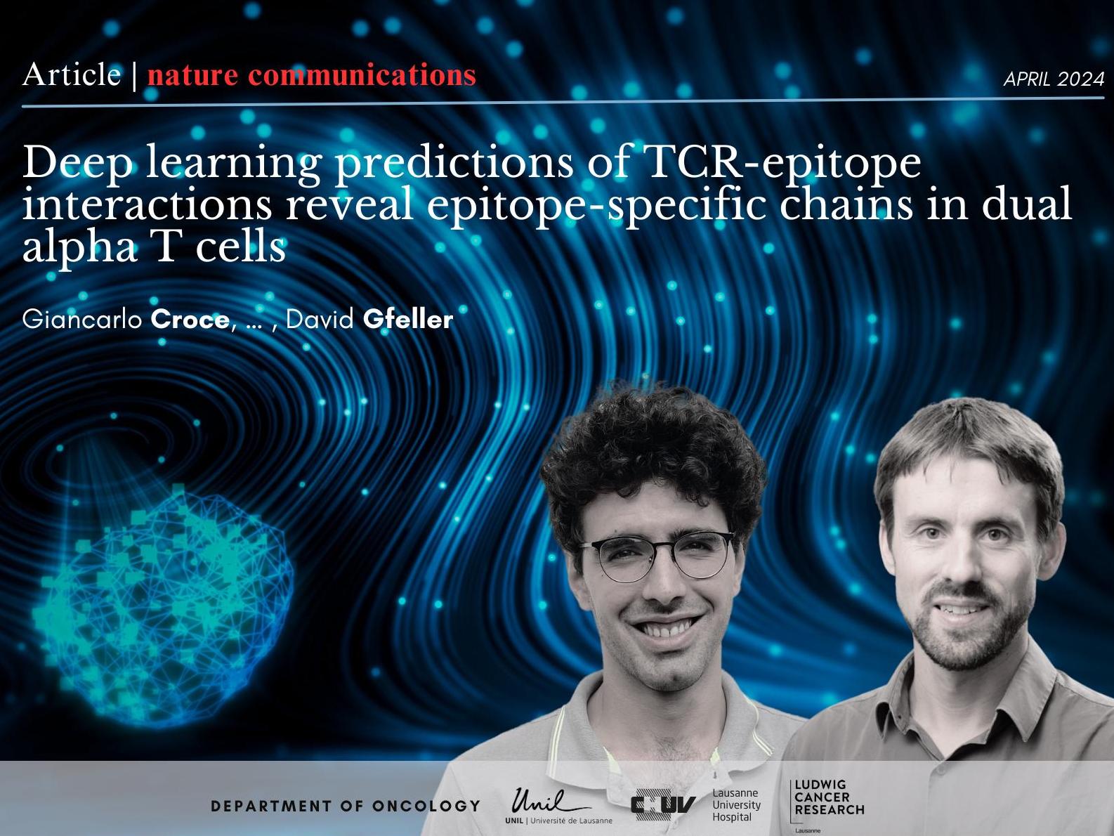 Deciphering T Cell Specificity: AI Insights into Immune Surveillance
