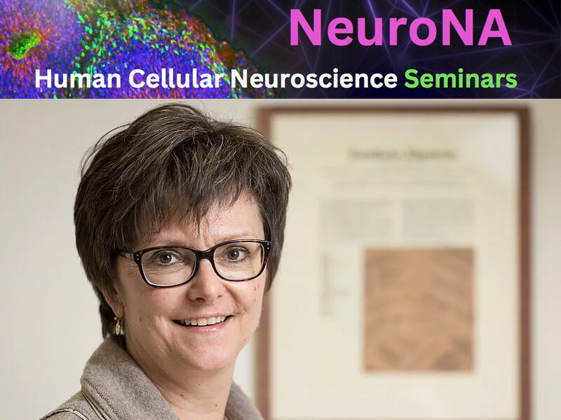 NeuroNA Seminar: How the brain barriers ensure CNS immune privilege