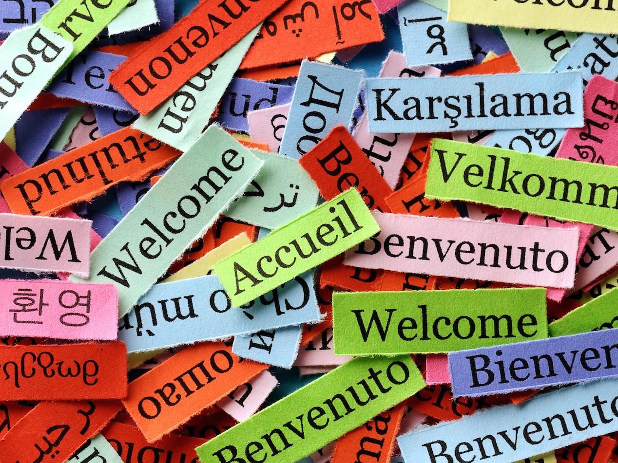 Bienvenue à la Faculté des lettres