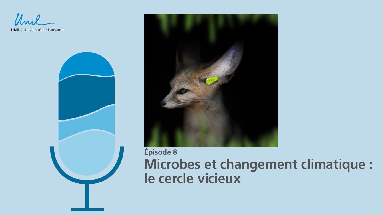 Microbes et changement climatique: le cercle vicieux