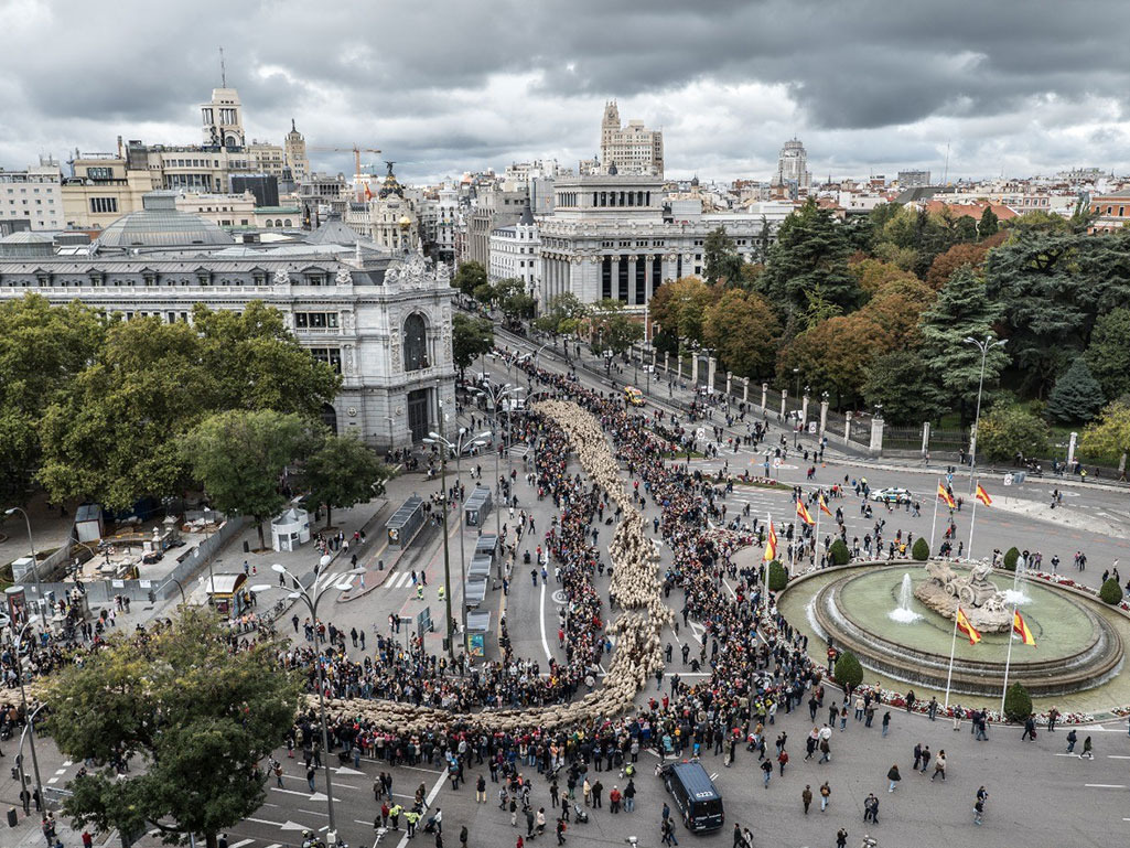 Mass Transhumance Demonstration in Madrid (2019) © Pedro Alvera