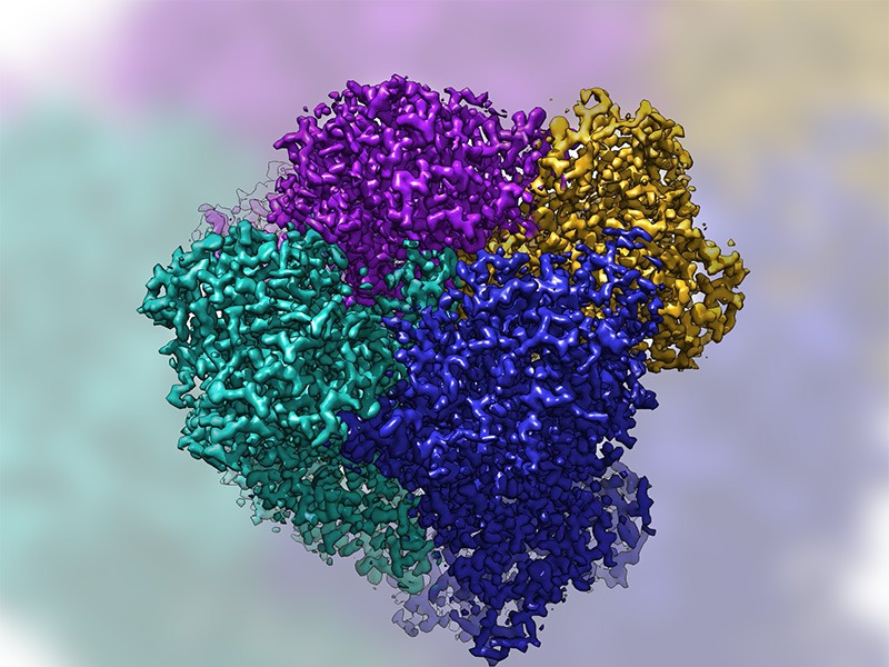 Appel d'offre "Soutien aux projets en cryo-microscopie électronique" 