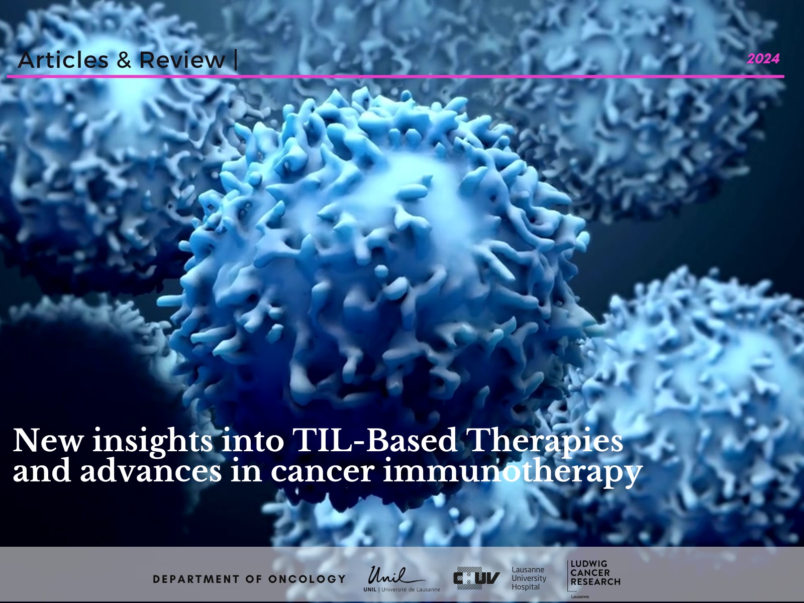 New insights into TIL-Based Therapies and advances in cancer immunotherapy