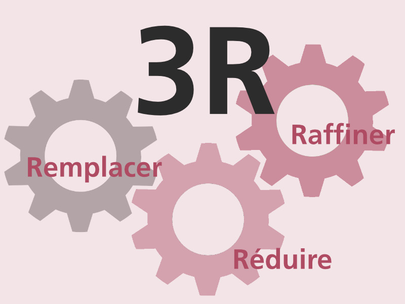 Des bonnes intentions aux bonnes pratiques avec la coordinatrice 3R de la FBM