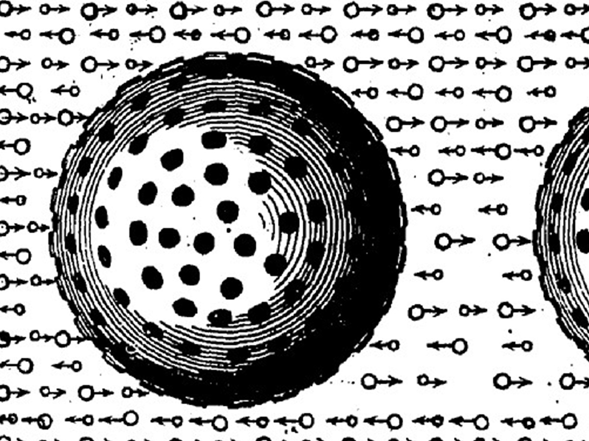 Les protestants et la matière. Atomisme et styles savants à Genève,
XVIIe-XIXe siècles