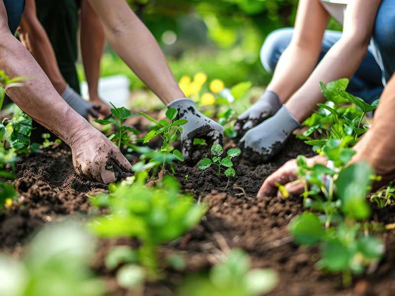 Newsletter Échos du vivant – Prendre soin de soi et de la planète: faire d'une pierre deux coups