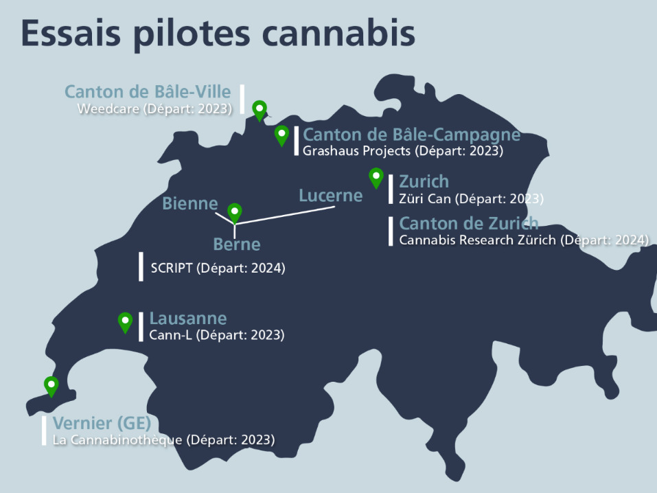 Règlementation du cannabis en Suisse: premiers enseignements 