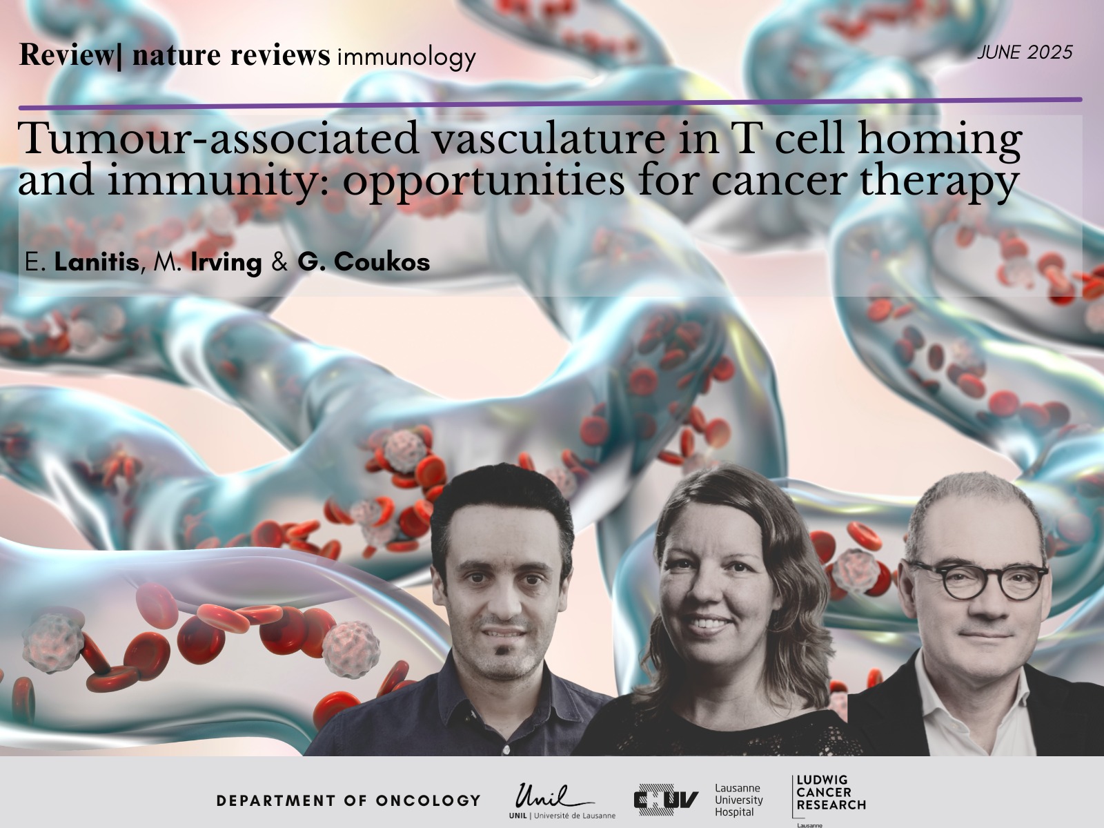 Reprogramming tumor vasculature to empower T cell immunity