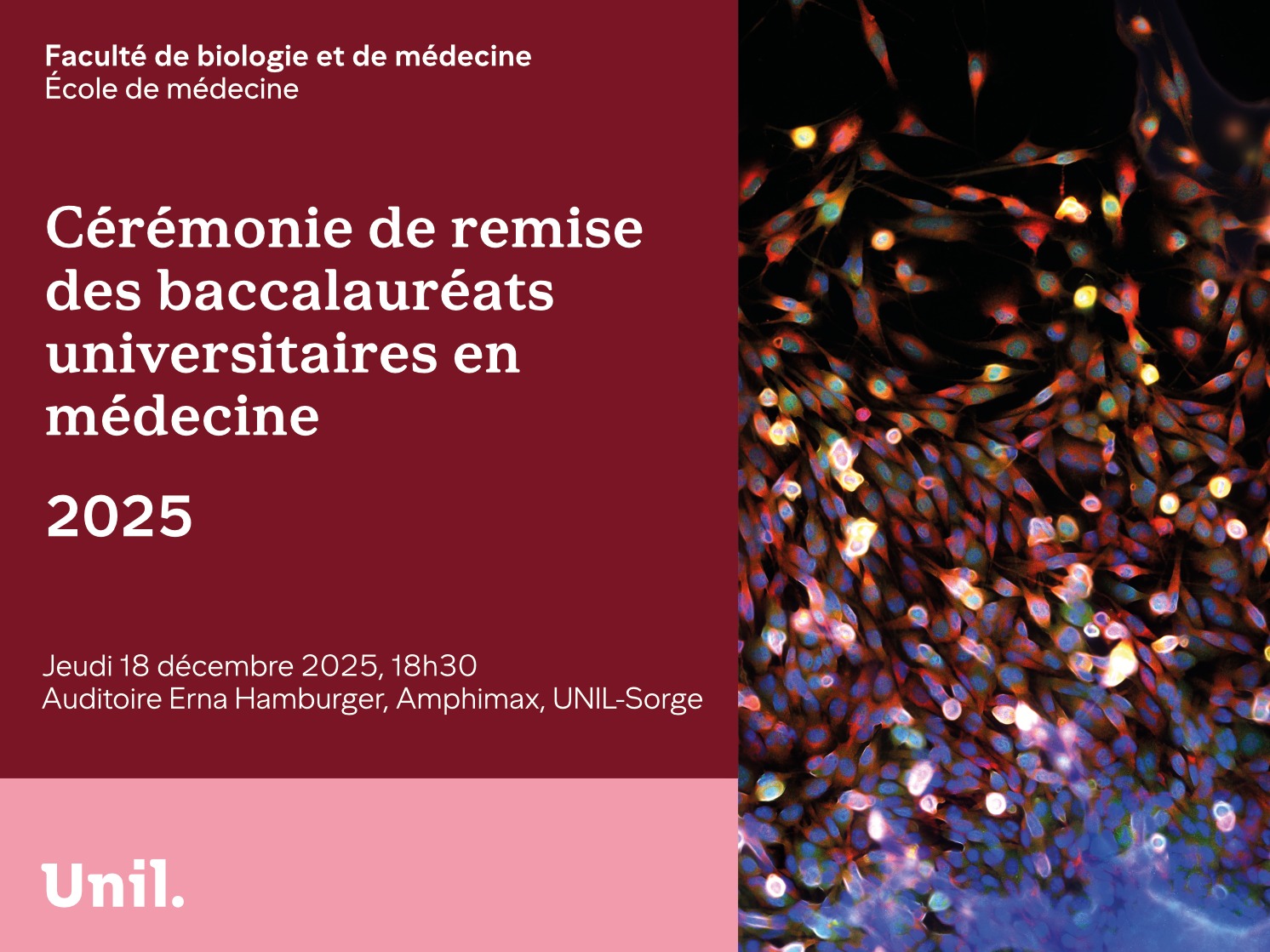 Cérémonie de remise des Bachelors en médecine 2025