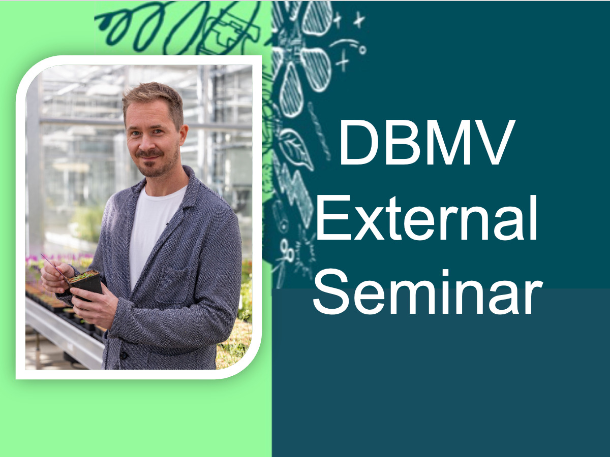DBMV External Seminar