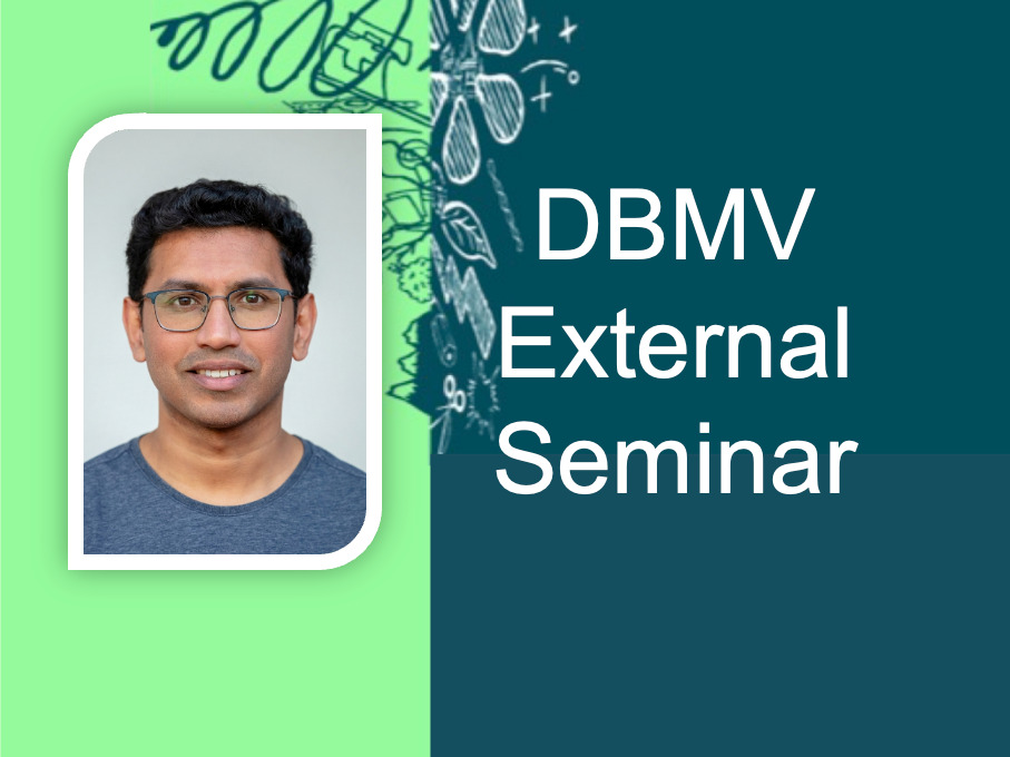 DBMV External Seminar