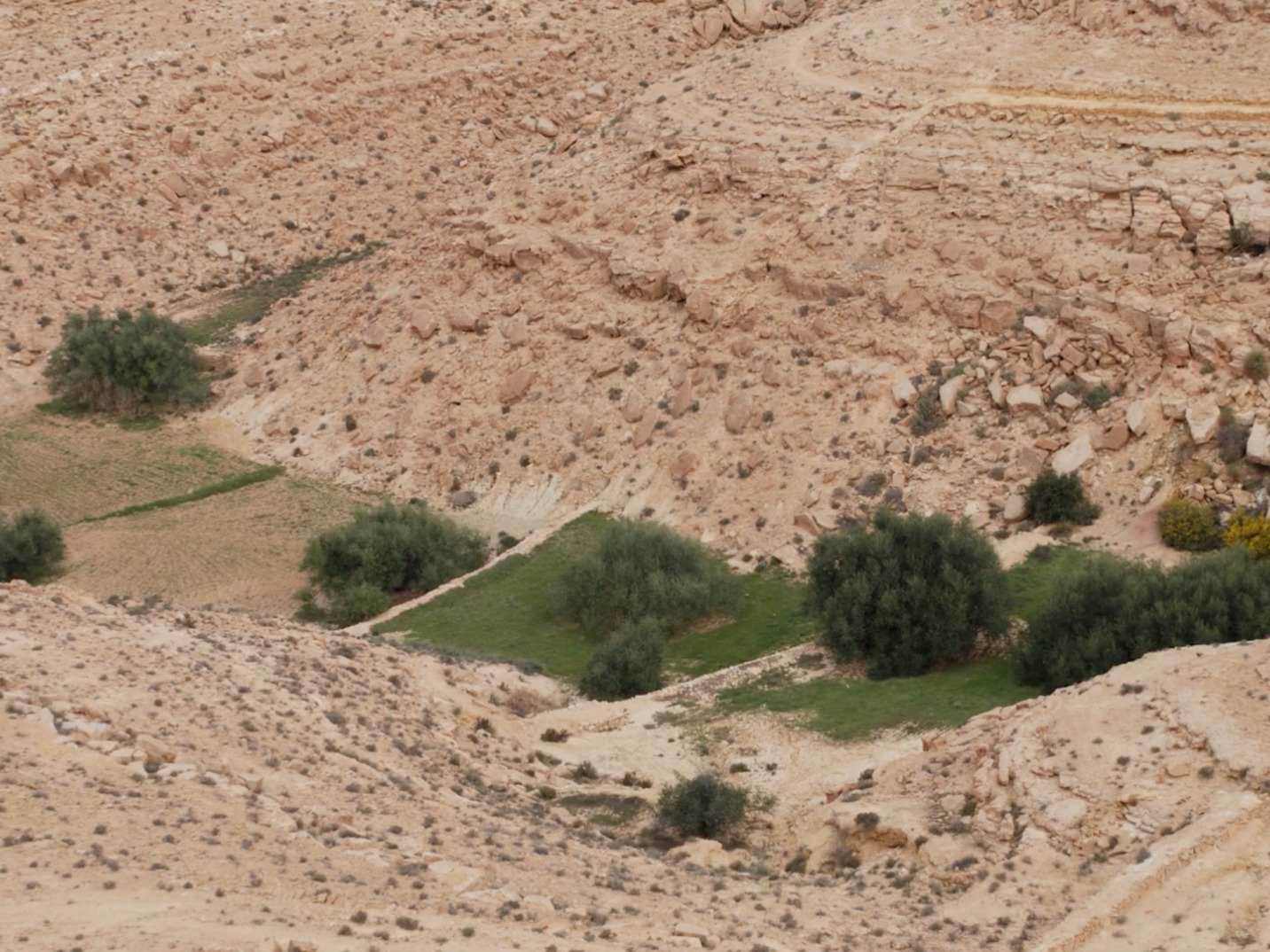 Des bisses valaisans aux jessour tunisiens : le savoir-faire ancestral ...