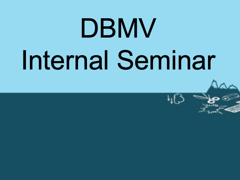 DBMV Internal Seminar